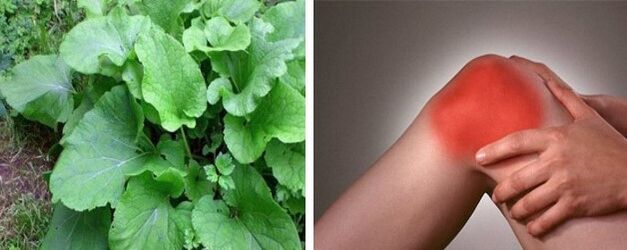Prednosti repinca pri artrozi kolenskega sklepa